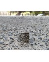 Alphabey Om Embossed Thumb Ring, Peaceful Ring, Religious Ring Collection Silver Plated Brass Ring