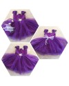 Alphabey's Butterfly Sleeves Violet Net Frock Kids Alphabey's Butterfly Sleeves Violet Net Frock Kids