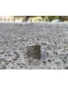 Alphabey Om Embossed Thumb Ring, Peaceful Ring, Religious Ring Collection Silver Plated Brass Ring Alphabey Om Embossed Thumb Ring, Peaceful Ring, Religious Ring Collection Silver Plated Brass Ring
