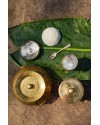 Brass Patili