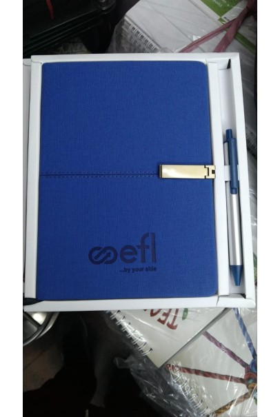 Leather lite Diary Organizer - Blue