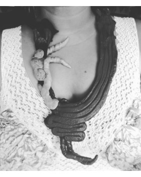 Ashes of Venus