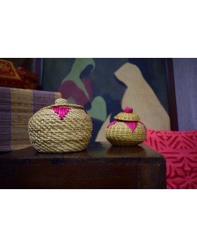 Golden Grass Big Pedi